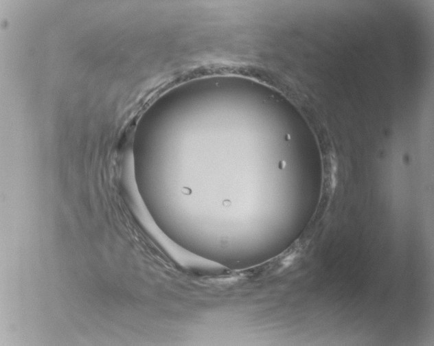 X0000051251157200507152142