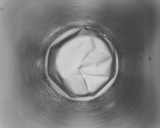 X0000051251158200507152142