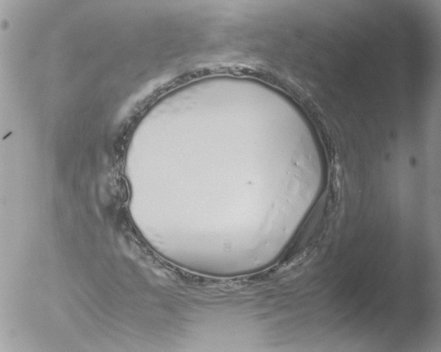 X0000051251159200507152142