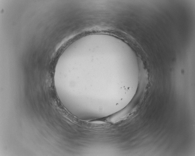 X0000051251160200507152142