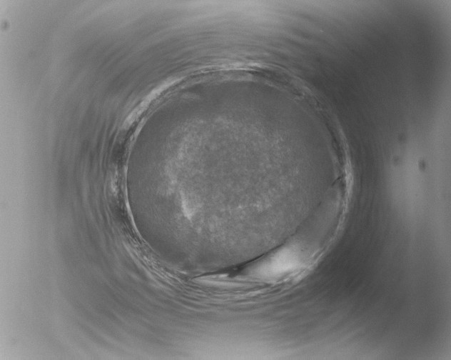 X0000051251161200507152142