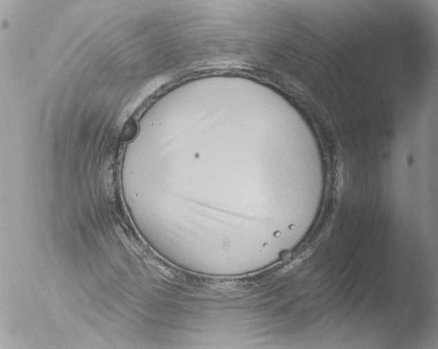 X0000051251162200507152142