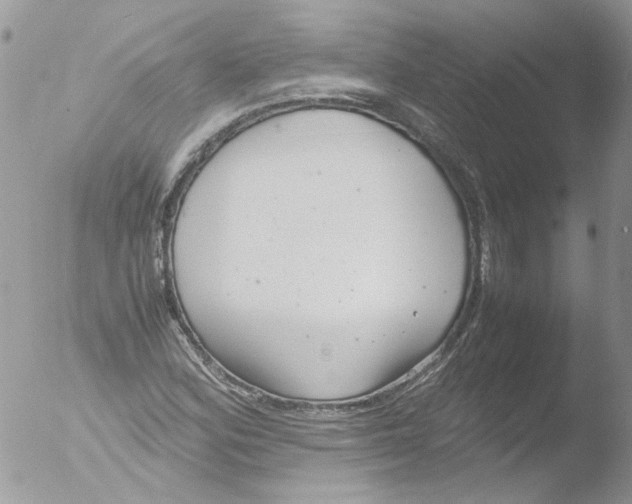 X0000051251164200507152142