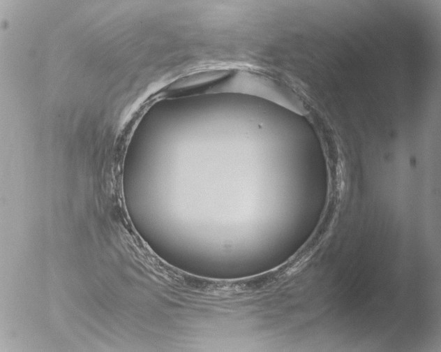 X0000051251165200507152142