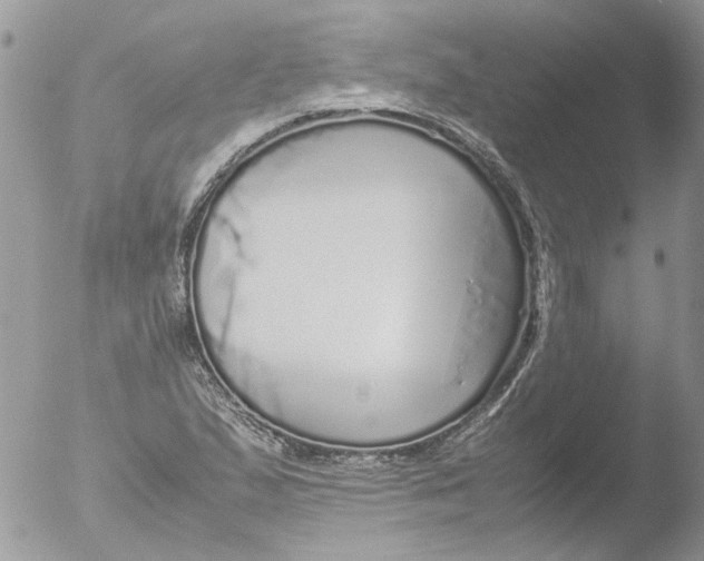 X0000051251167200507152142