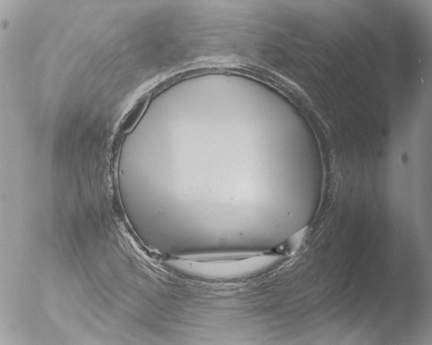 X0000051251168200507152142