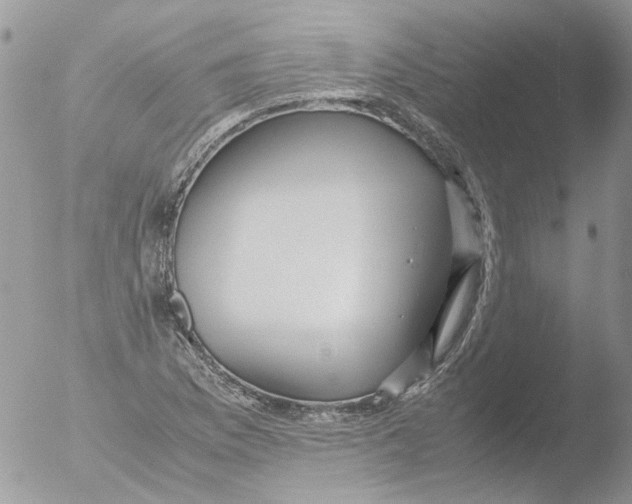 X0000051251169200507152142