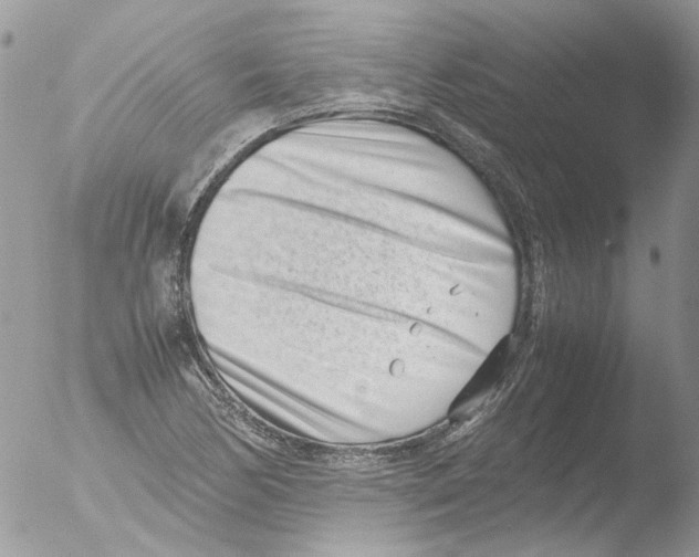 X0000051251170200507152142