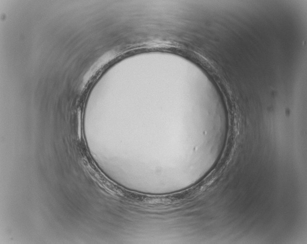 X0000051251171200507152142