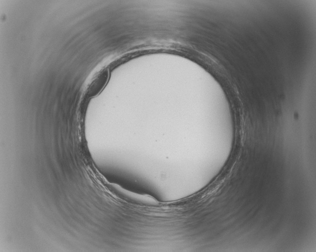 X0000051251172200507152142