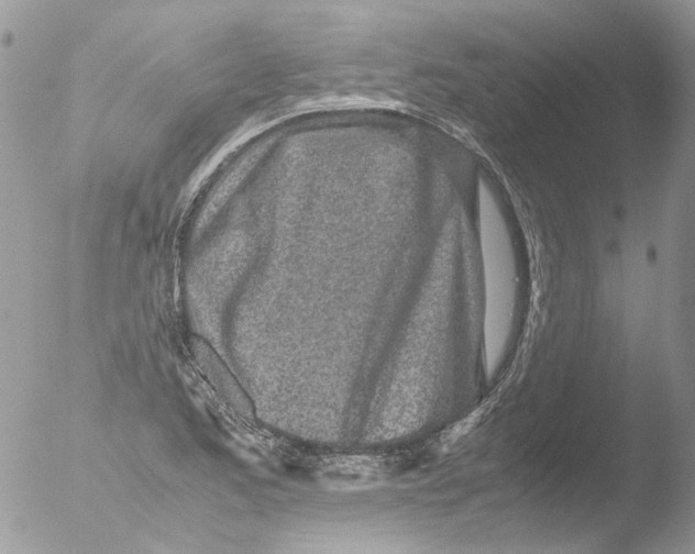 X0000051251173200507152142