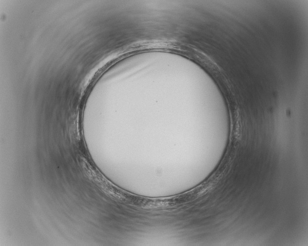 X0000051251174200507152142