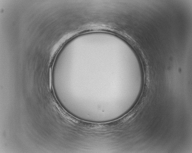 X0000051251175200507152142