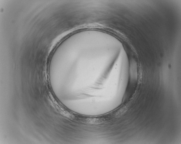 X0000051251176200507152142