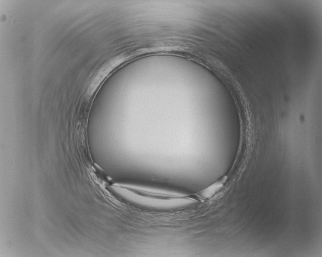 X0000051251177200507152142