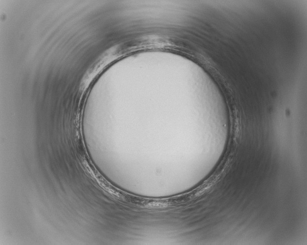 X0000051251178200507152142