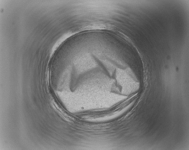 X0000051251179200507152142