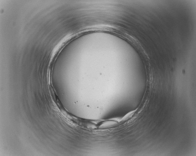 X0000051251180200507152142