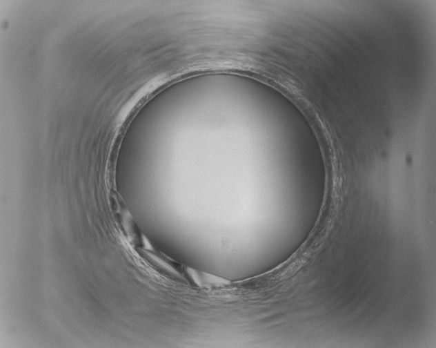 X0000051251181200507152142