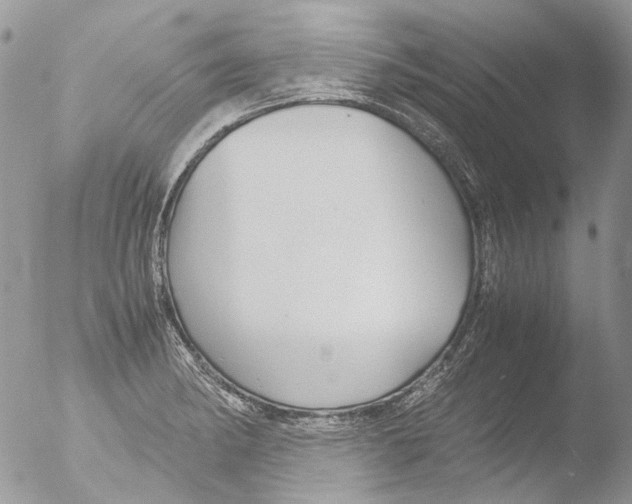 X0000051251182200507152142