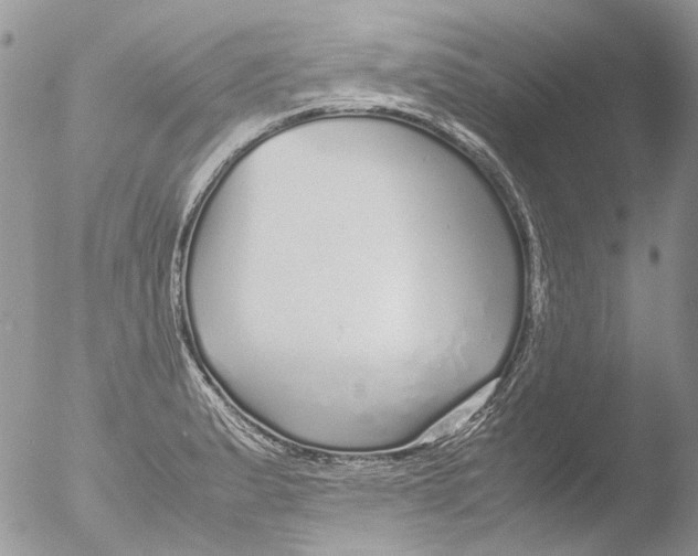 X0000051251183200507152142