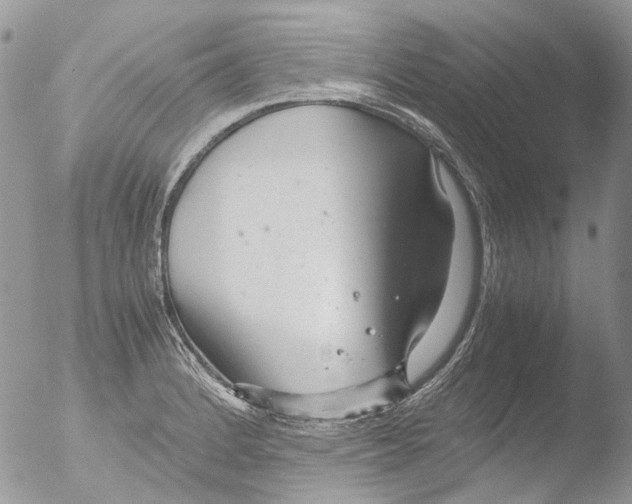 X0000051251184200507152142