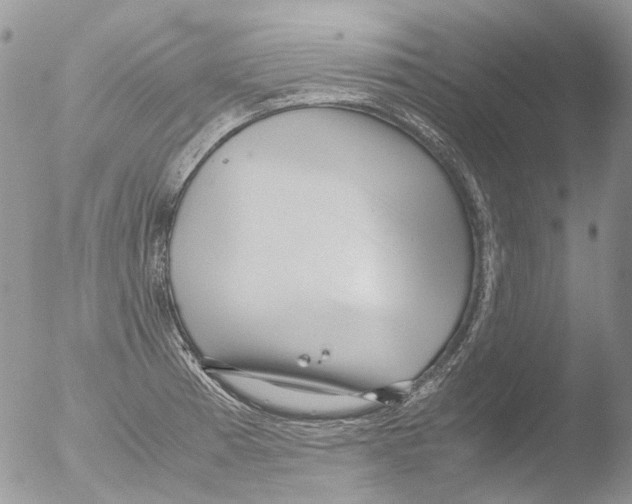 X0000051251185200507152141