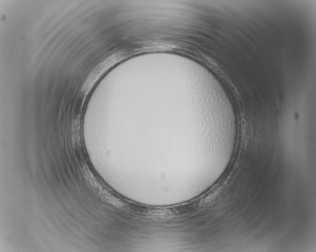 X0000051251186200507152141