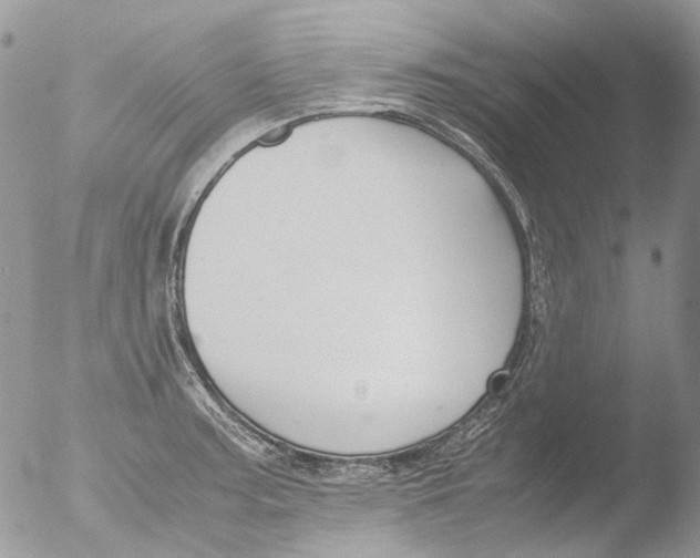 X0000051251187200507152141