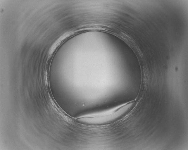 X0000051251188200507152141