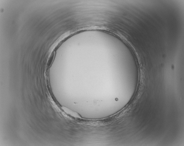 X0000051251189200507152141