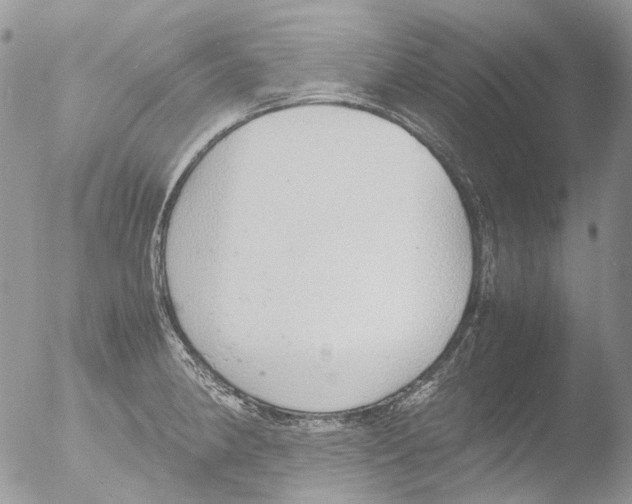 X0000051251190200507152141