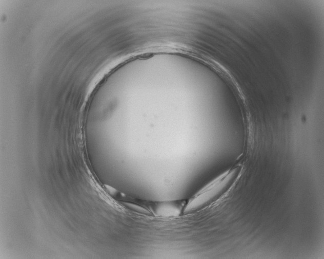 X0000051251192200507152141