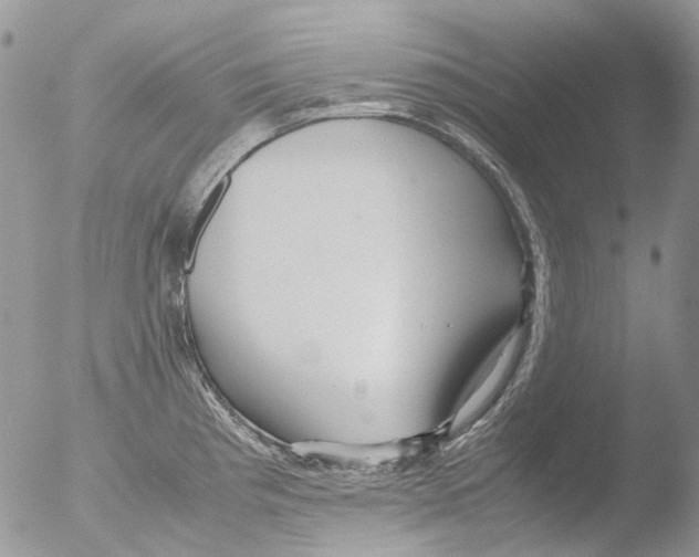 X0000051251193200507152141