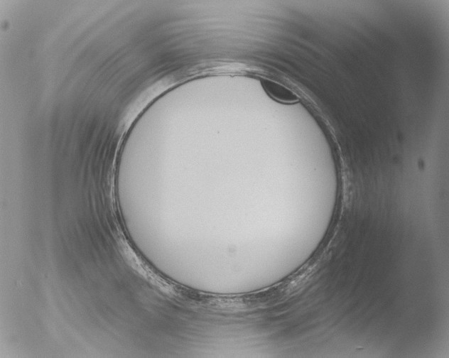 X0000051251194200507152141