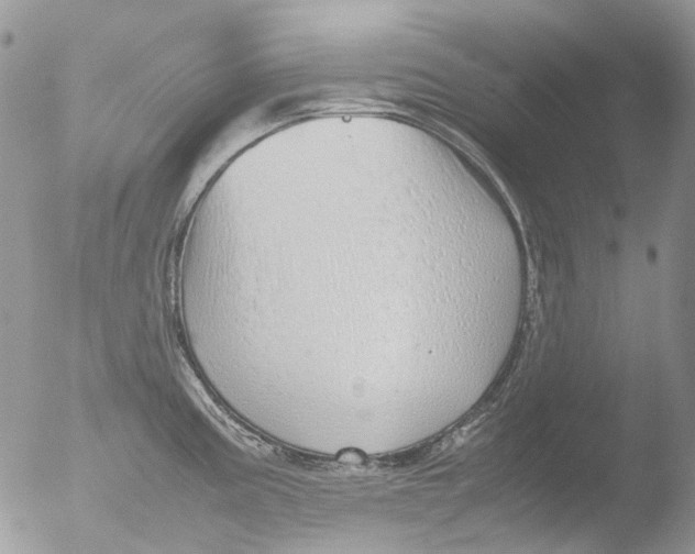 X0000051251195200507152141