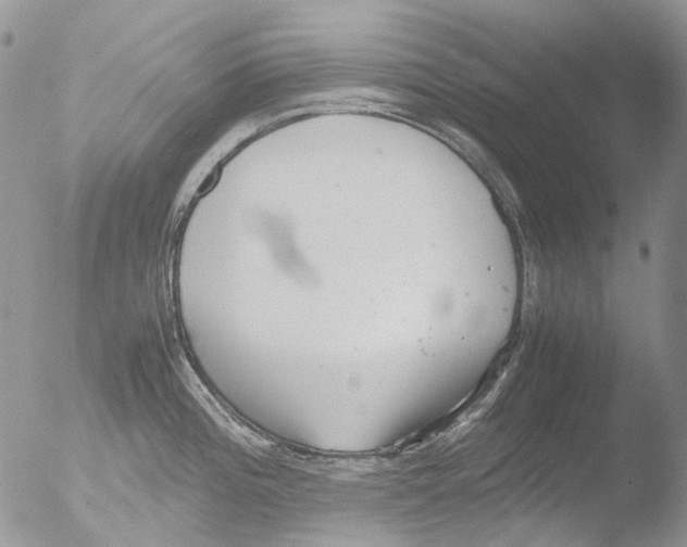 X0000051251196200507152141