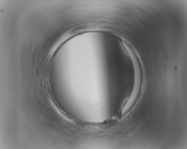 X0000051251197200507152141