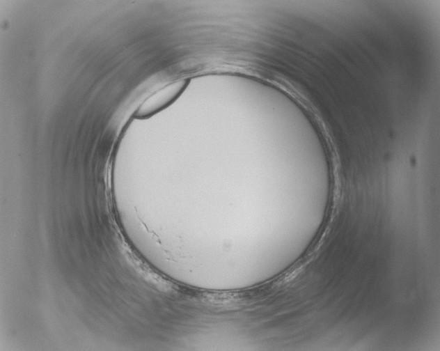 X0000051251198200507152141