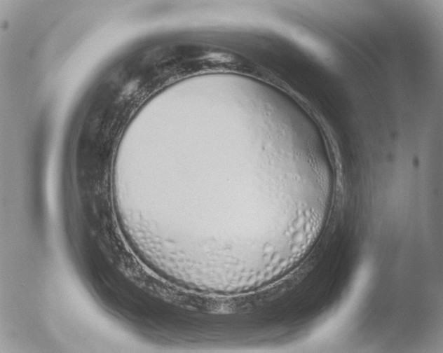 X0000051251199200507152141