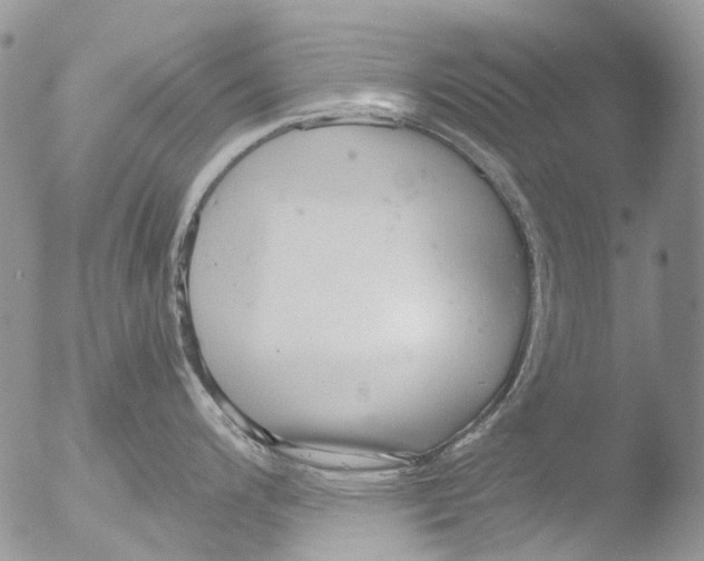 X0000051251200200507152141