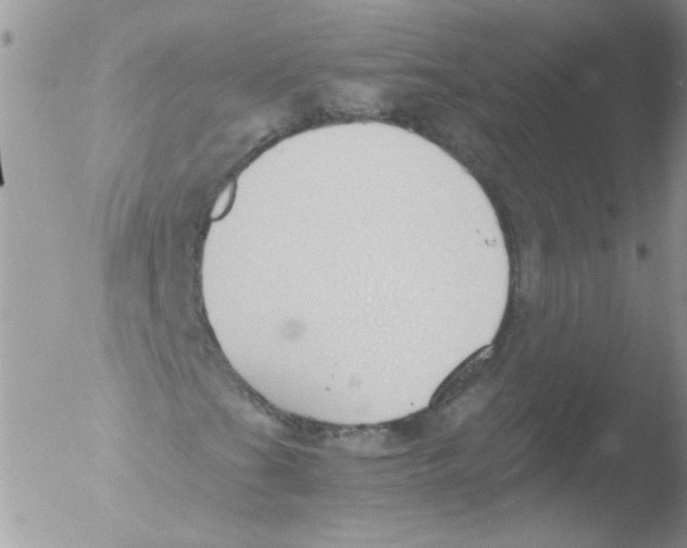 X0000051251201200507152140