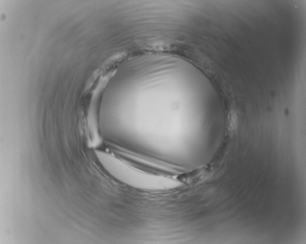 X0000051251202200507152140