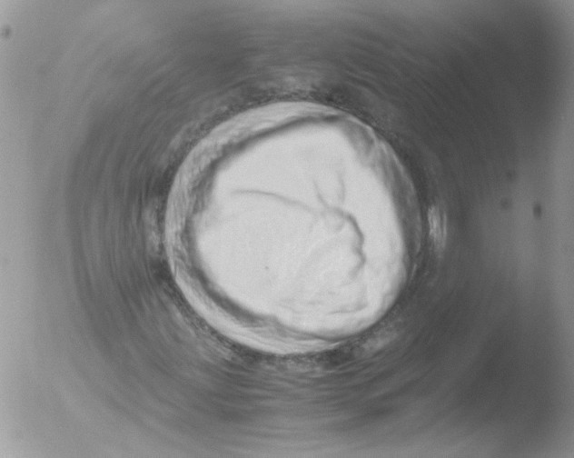 X0000051251203200507152140