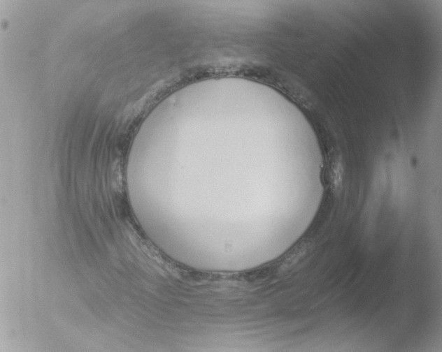 X0000051251204200507152140