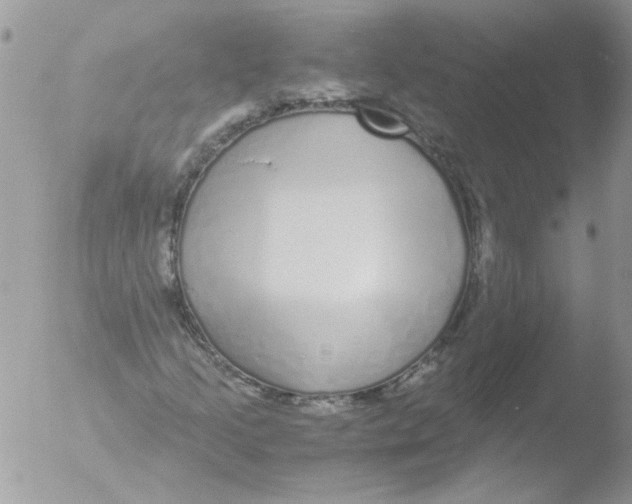 X0000051251205200507152140