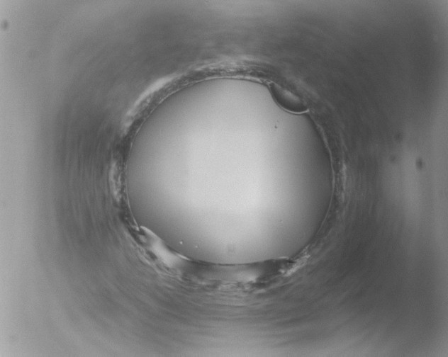 X0000051251206200507152141