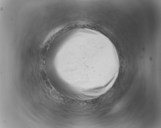 X0000051251207200507152141