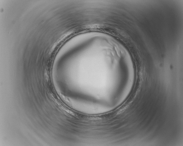 X0000051251209200507152141