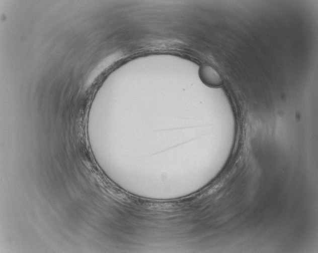 X0000051251211200507152141